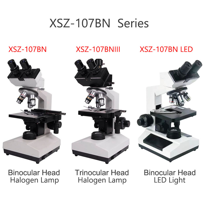 مجهر مختبر إلكتروني مركب بيولو - مراجعة Medical Lab Microscope وسعره